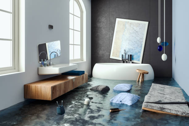 Best Water damage contractors near me  in St Joseph, MN
