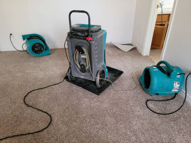 Best Water damage restoration near me  in St Joseph, MN