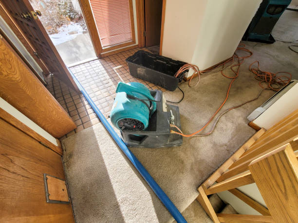 Best Fire Damage Restoration  in St Joseph, MN