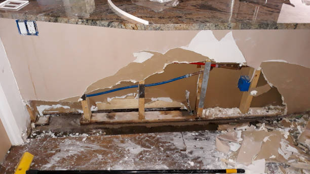 Best Professional water damage repair  in St Joseph, MN