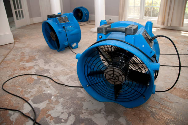 Best Flood restoration services  in St Joseph, MN