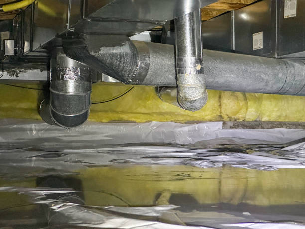 Best Ceiling water damage repair  in St Joseph, MN