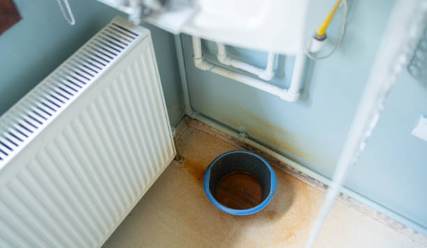 Best Commercial water damage restoration  in St Joseph, MN