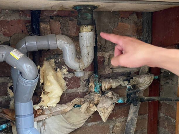 Best Basement water damage restoration  in St Joseph, MN