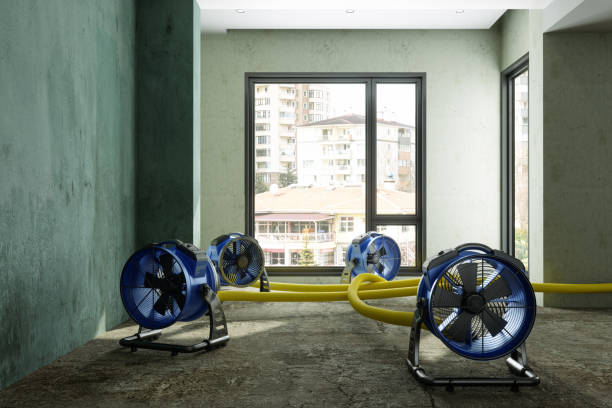 Best 24/7 water damage repair  in St Joseph, MN
